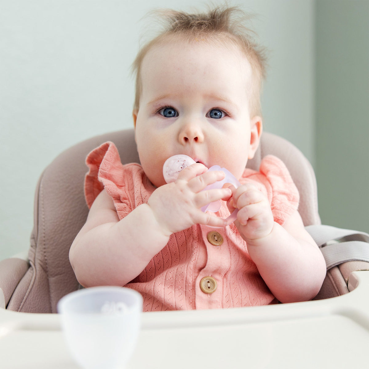 Silicone Baby Food Feeder Set and Teether, Freezer Tray with Lid