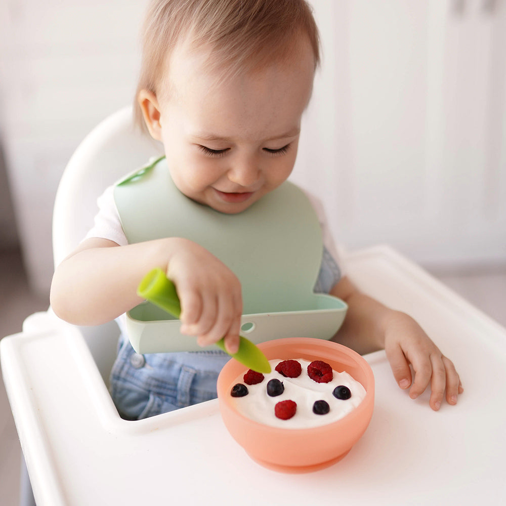 Silicone Suction Bowl with Lid for Babies, 6 Months+