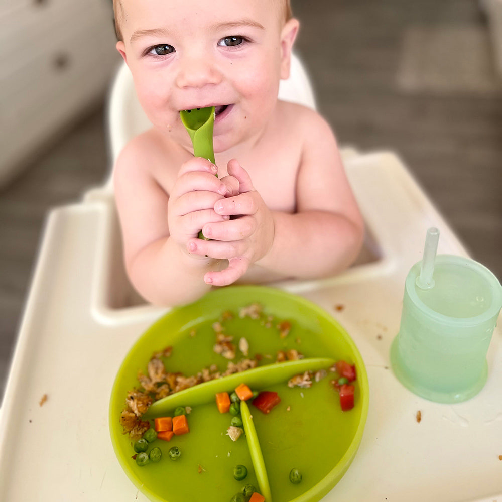 Silicone Suction Plate for Babies, Divided, 6 Months+