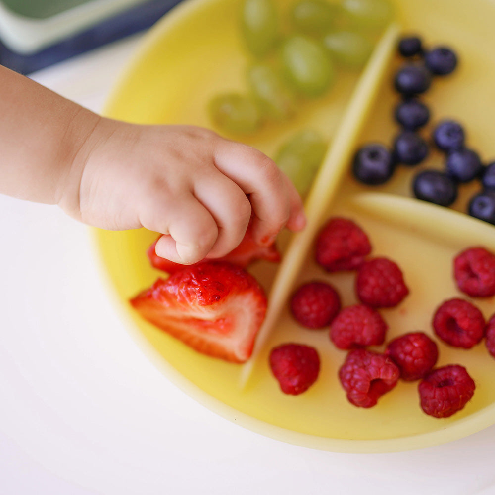 Silicone Suction Plate for Babies, Divided, 6 Months+